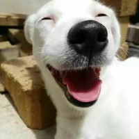 许龙斌