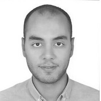 Kareem Tarek, Cma (Usa) - Fmva, Acca Candidate