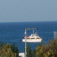Danilo Falegname Velletri