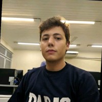 Pedro Vinícius Domingues Gonçalves