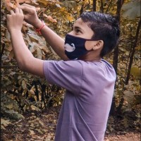Mohit Kuldeep