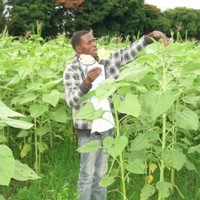 Daudi Kayange