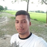 Polash Roy