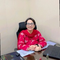 Nabaegha Najam