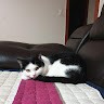 길용이