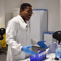 Chris Sibanda