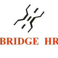 Bridge Hr Consulting Pvt Ltd.