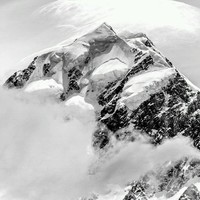 Дмитрий Гришин