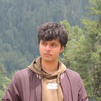 Muhammad Huzaifa Qureshi