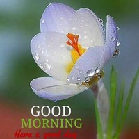 Vijay Kumar