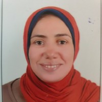 Howayda Abdelghani