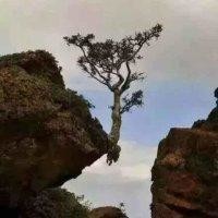 张克辉