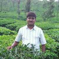 Puttaswamy J