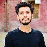 Ameer Ali