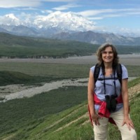 Cyndi Parrett Wagner