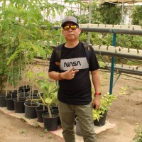Jimson Romuar