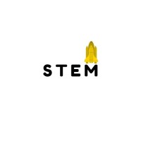 The Stem Foundation