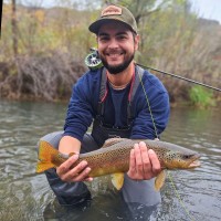 Rob Humphrey