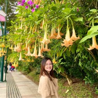 Hang Bui