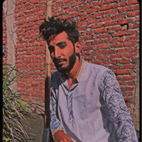 Mohd Taqi A.