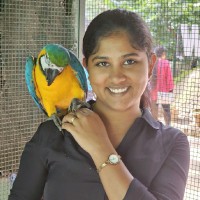 Swathi V S