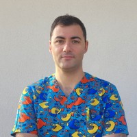Giovanni Mantelli