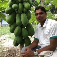 MD SAJEDUR RAHMAN