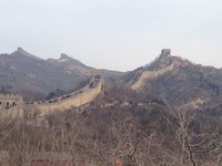 杨长该