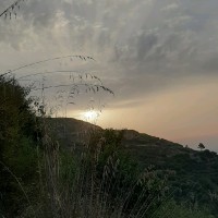 Hamza ECH-CHERRATI