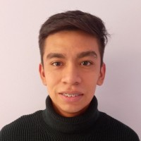 Gustavo Isla Medina
