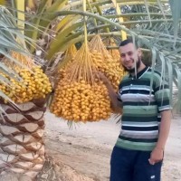 Mahmoud Abdellatif