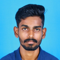 Bibin Ani John