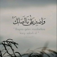 محمد فارس
