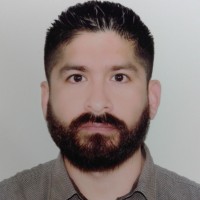 DAVID DAVILA BALLENA