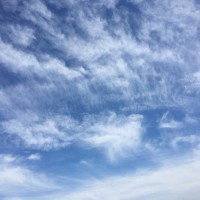 西村光良