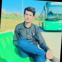 Syed Husnain Naqvi Naqvi
