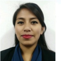 Laura Nallely Zarate Laguna