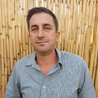David A Levy