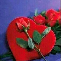 Bhim Sushanth