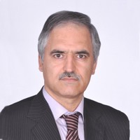 Mohammad Hossain Baghiyan