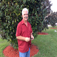 Stephen Lorusso