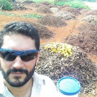 João Vitor Horacio da Silva