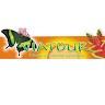 viatour cooperativa