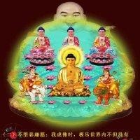 秦同学