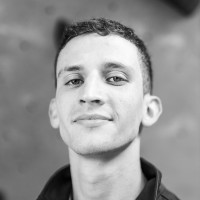 Giulio Fant