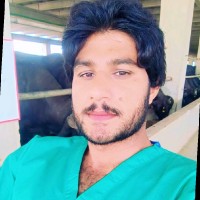 Dr Attiq Ur Rehman