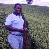 Peter Kimanga