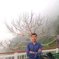 Dharmendra Singh Yadav