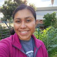 Lisbeth Hernandez