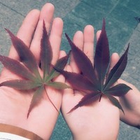 肖丽丽